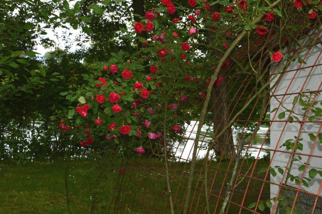 Una Rosa Hostel Bihać Exterior foto