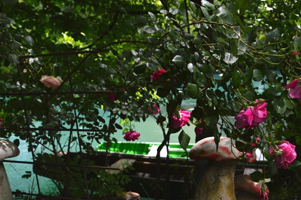 Una Rosa Hostel Bihać Exterior foto
