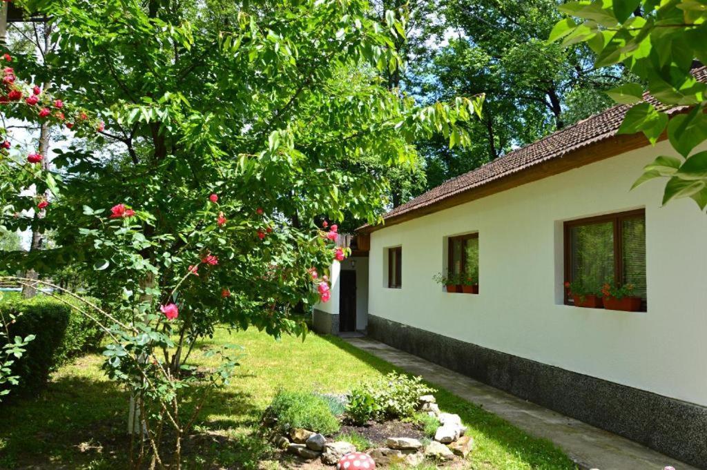 Una Rosa Hostel Bihać Exterior foto