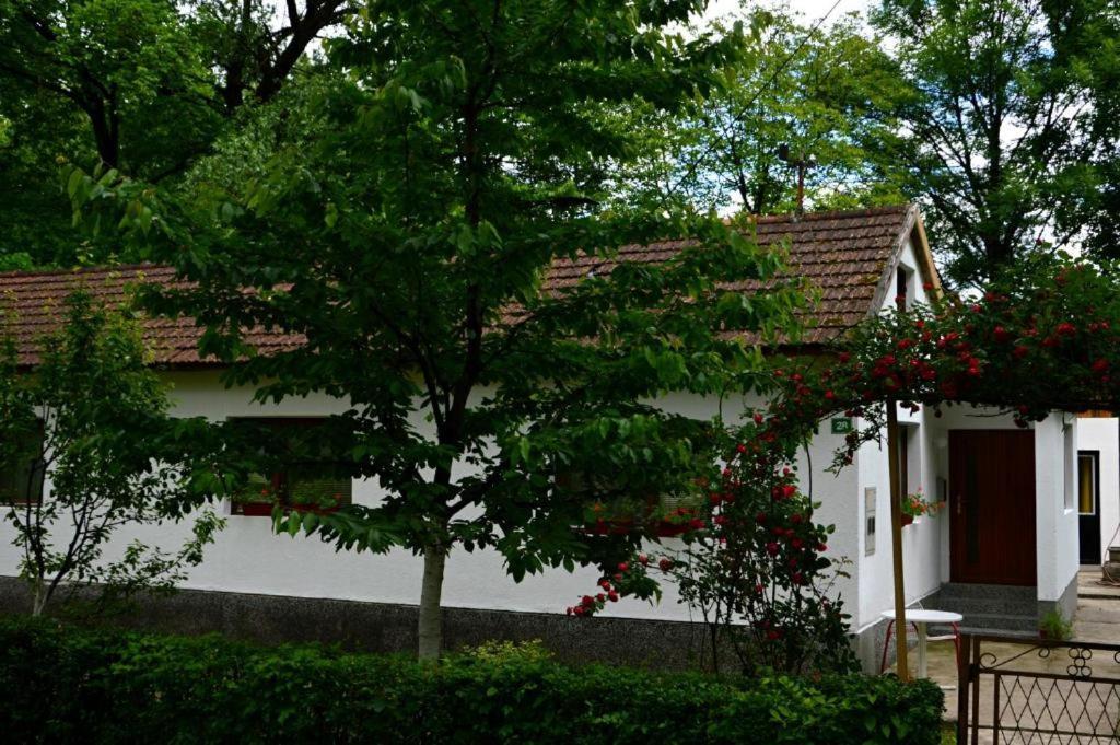 Una Rosa Hostel Bihać Exterior foto