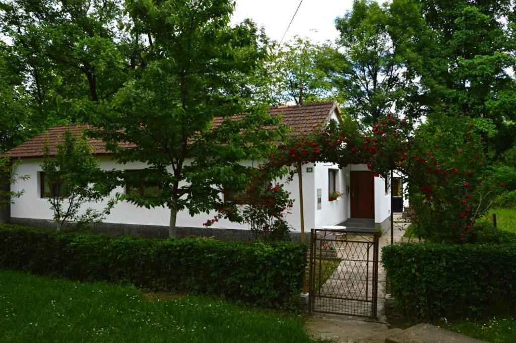 Una Rosa Hostel Bihać Exterior foto