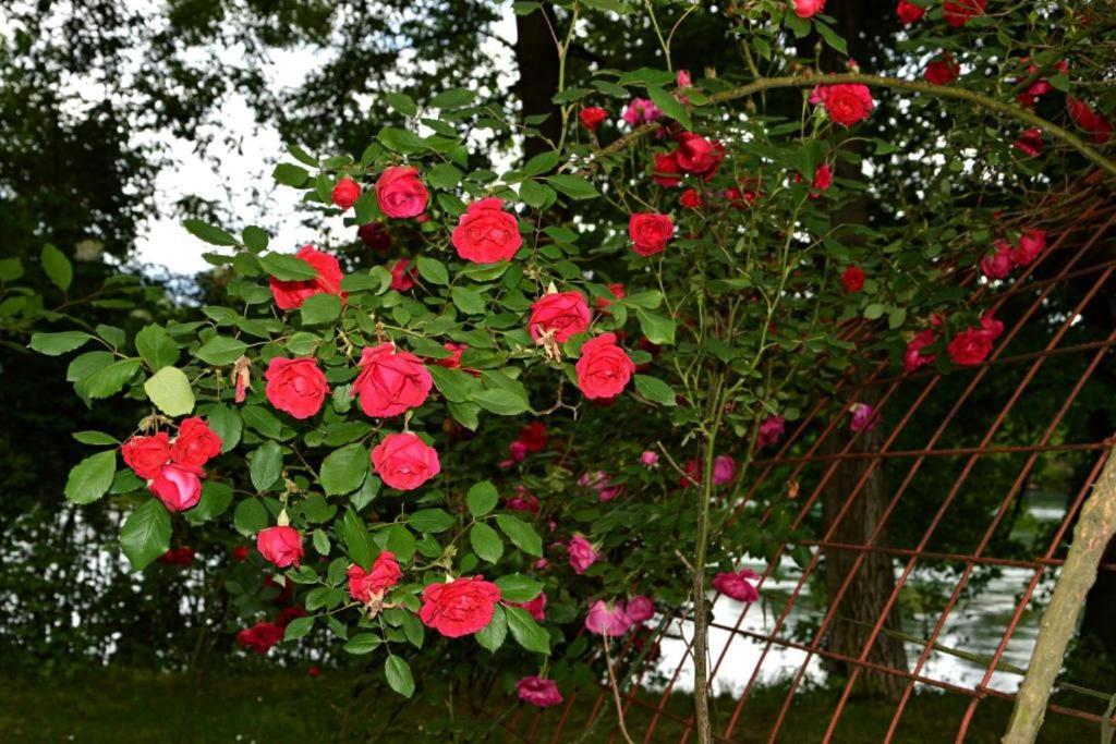 Una Rosa Hostel Bihać Exterior foto